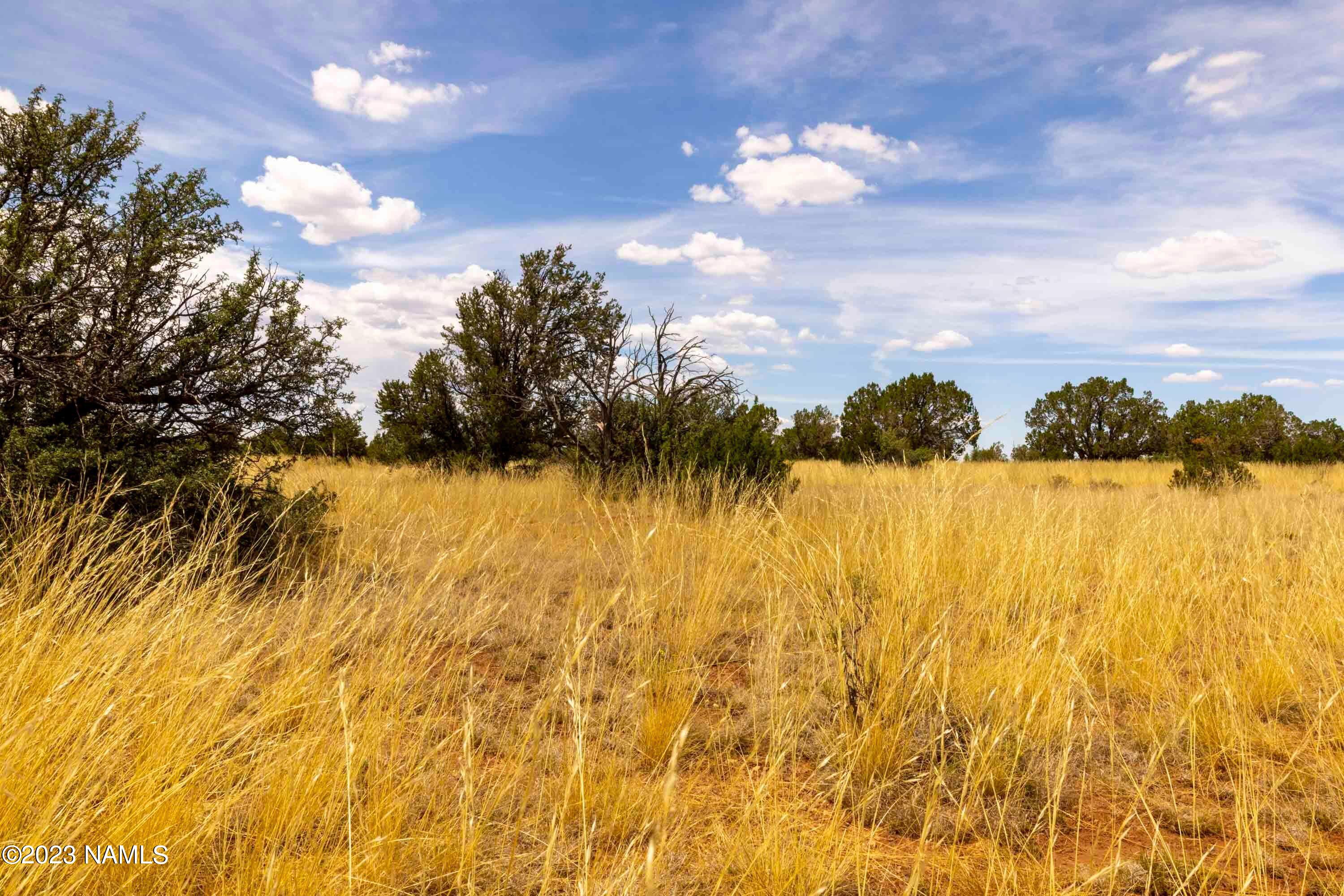 3054 Silver Valley Road Williams, AZ 86046 - Photo 18 of 21 3054 E Silver Valley Rd Photo 6