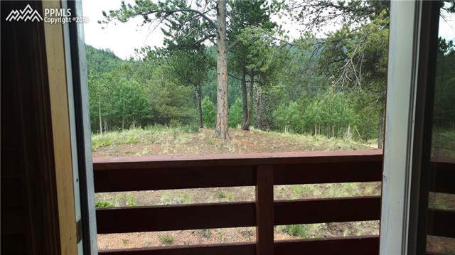 423 Valley Road Divide, CO 80814 - Photo 19 of 28 Gallery Image 19
