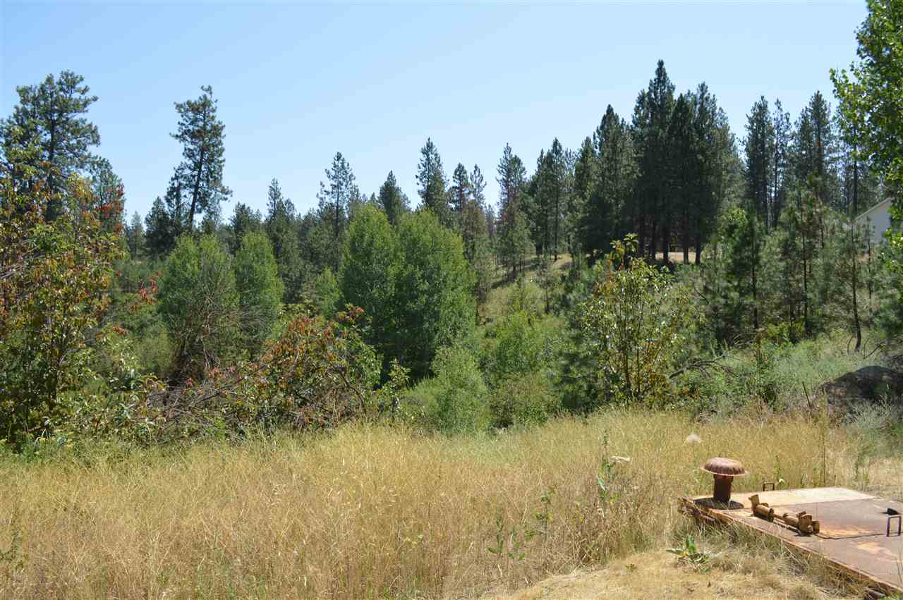 1509 South Ritchey Road Medical Lake, WA 99022 - Photo 20 of 20