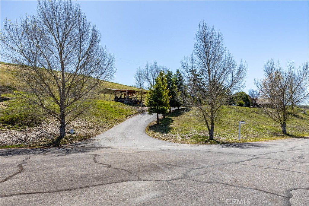 76870 Barker Road San Miguel, CA 93451 - Photo 58 of 66 a view of a park with plants and trees