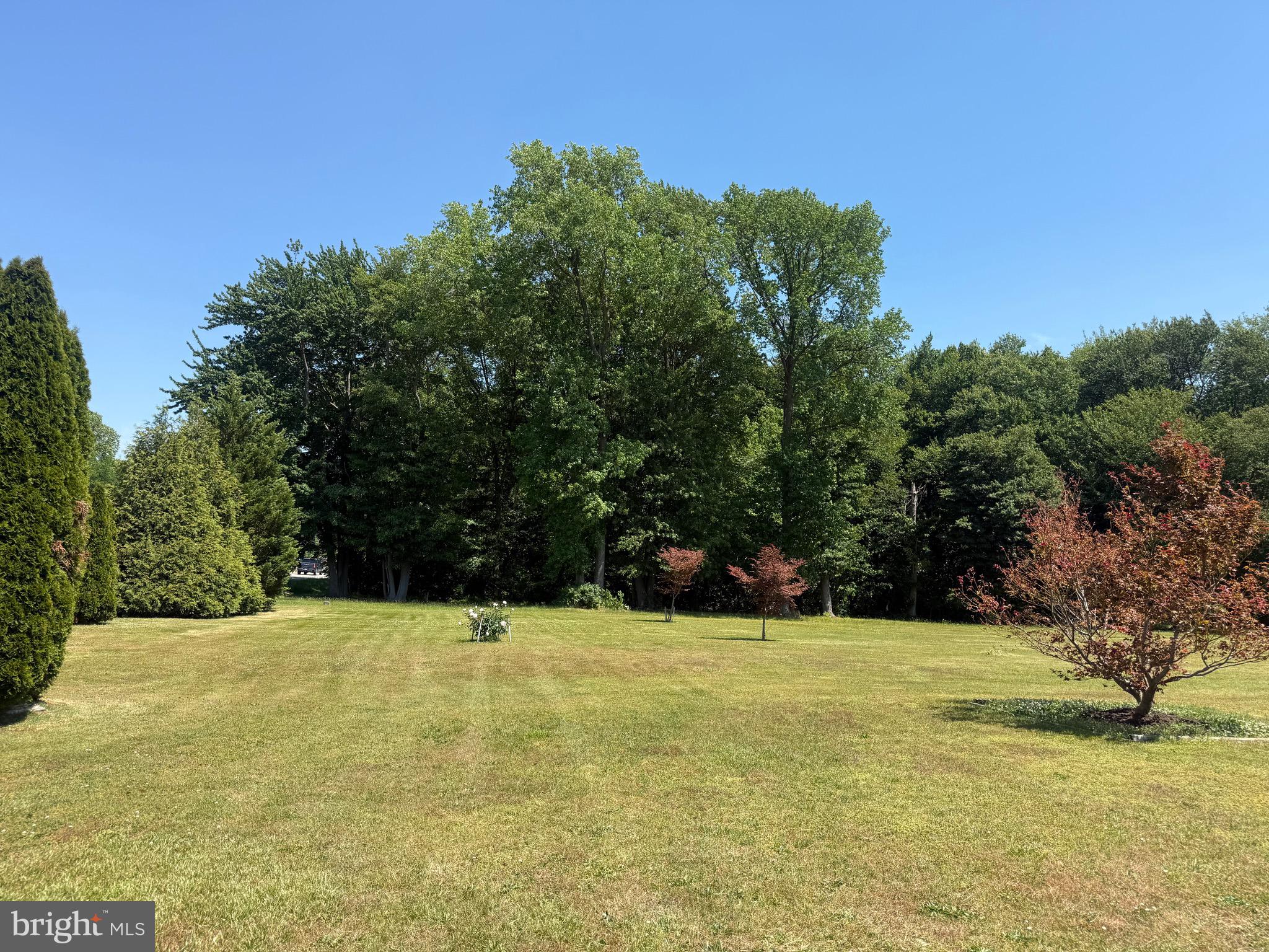 1420 Barclay Road Barclay, MD 21607 - Photo 15 of 20