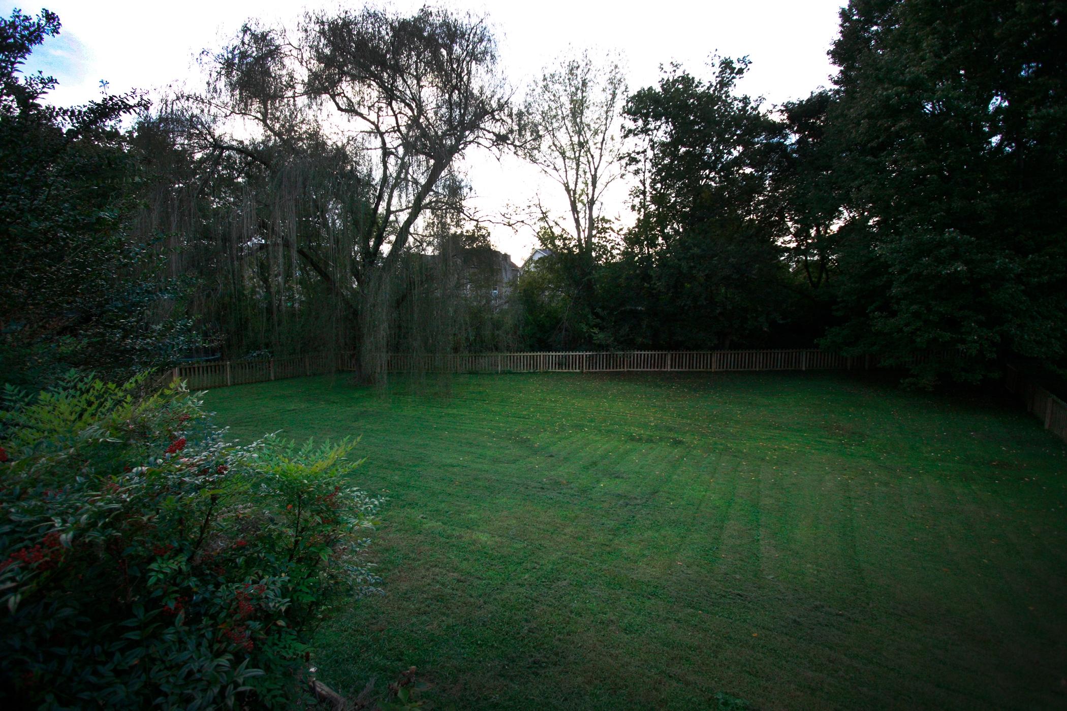 8927 Colchester Ridge Road Knoxville, TN 37922 - Photo 13 of 14 Backyard