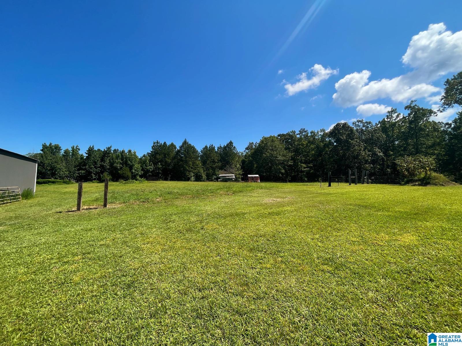 2081 Ross Lake Road Wellington, AL 36279 - Photo 28 of 42 Gallery Image 28