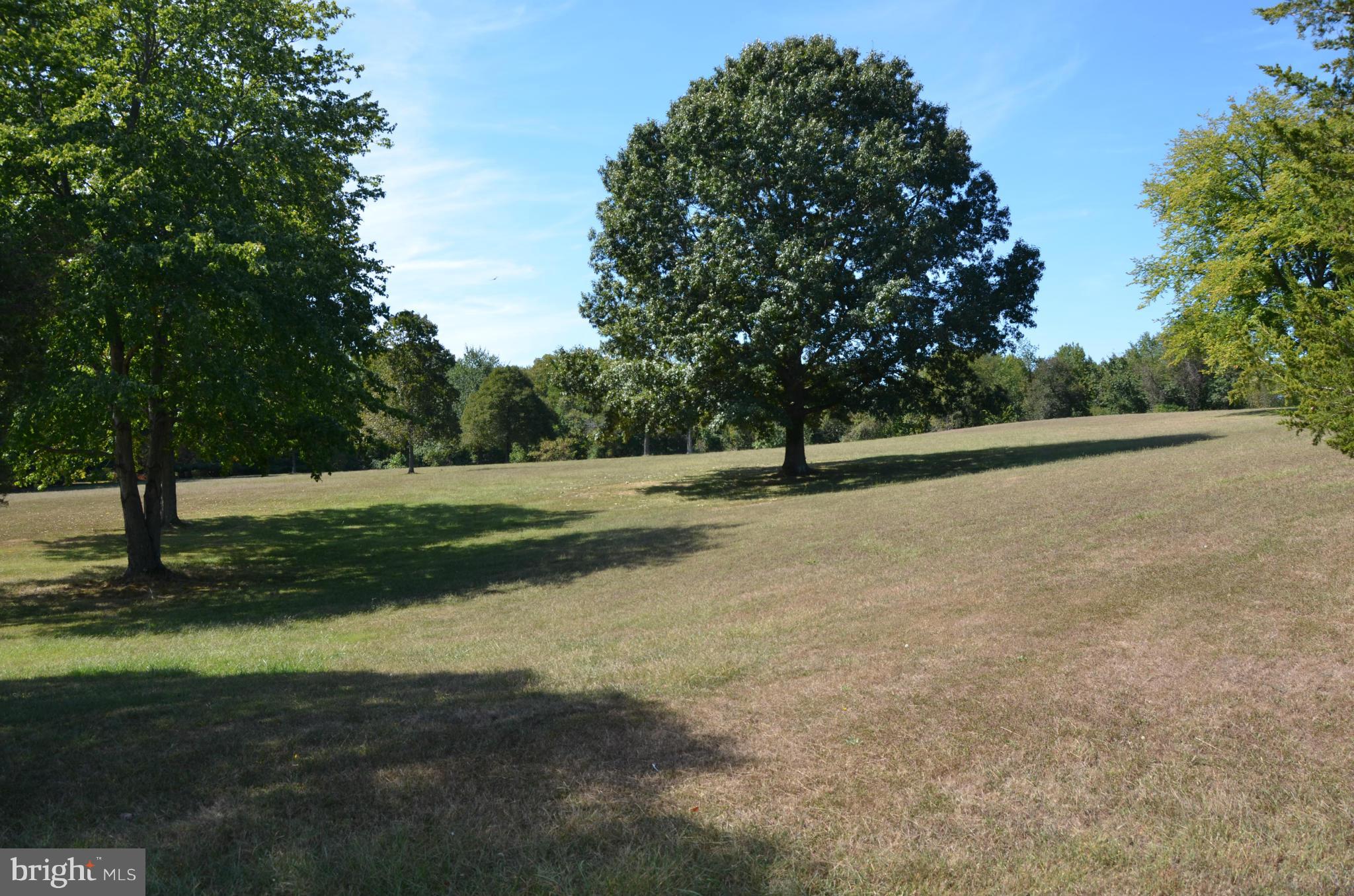 a view of a field with trees in the background