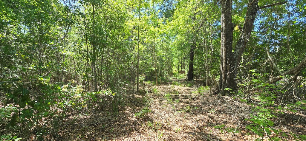 800 Grady Garner Road Slocomb, AL 36375 - Photo 18 of 49