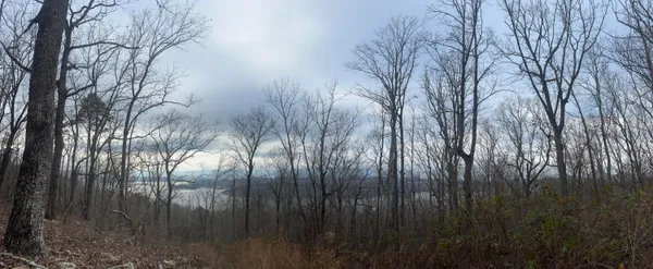 $40,000 | Lot 13 Bluffs North Road, Unit 13, Guild, TN 37340