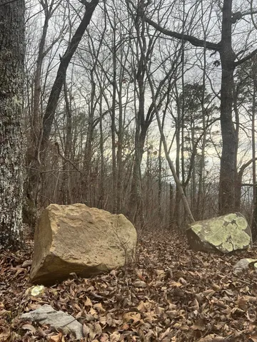 $45,000 | Lot 13 Bluffs North Road, Unit 13, Guild, TN 37340