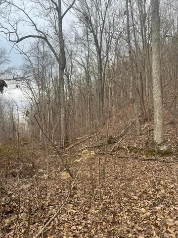 $45,000 | Lot 13 Bluffs North Road, Unit 13, Guild, TN 37340