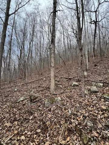 $45,000 | Lot 13 Bluffs North Road, Unit 13, Guild, TN 37340