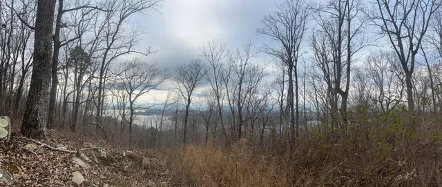 $45,000 | Lot 13 Bluffs North Road, Unit 13, Guild, TN 37340