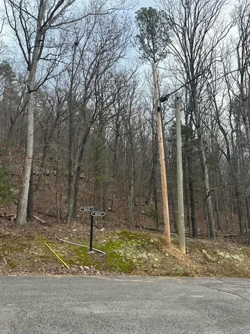 $45,000 | Lot 13 Bluffs North Road, Unit 13, Guild, TN 37340