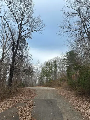 $45,000 | Lot 13 Bluffs North Road, Unit 13, Guild, TN 37340