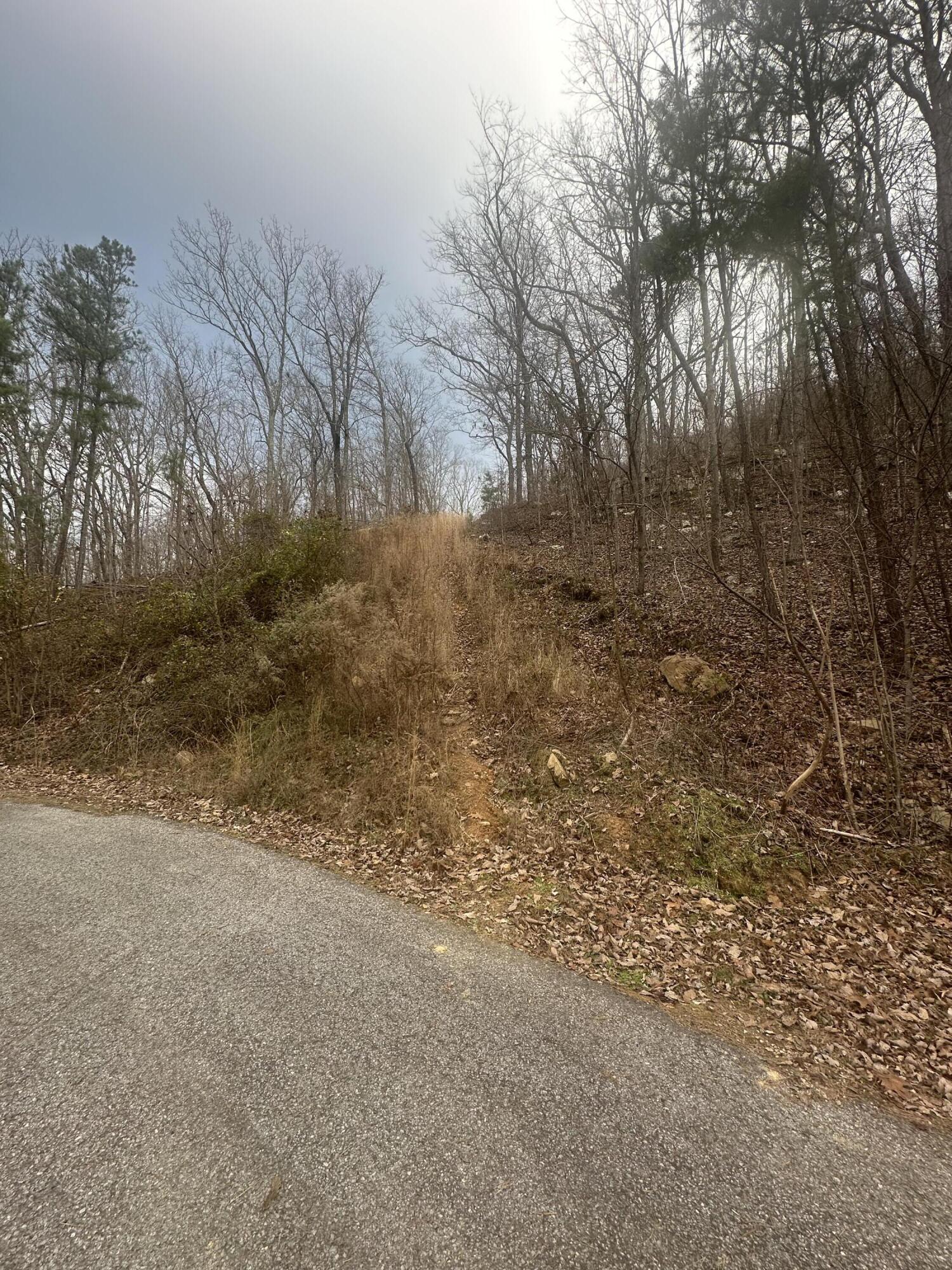 Lot 13 Bluffs North Road, Unit 13 Guild, TN 37340 - Photo 8 of 16 IMG_2338