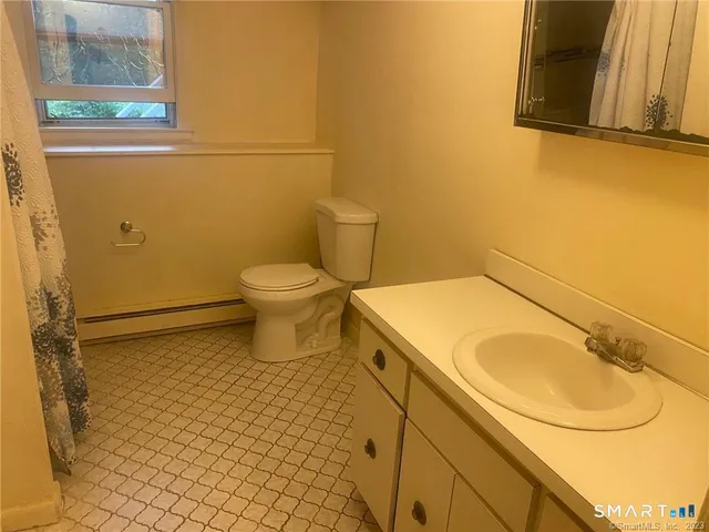 a bathroom with a sink and a toilet