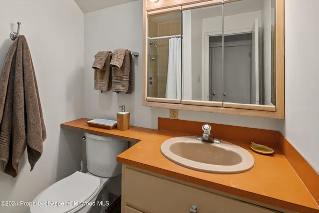 a bedroom with a bed and a closet