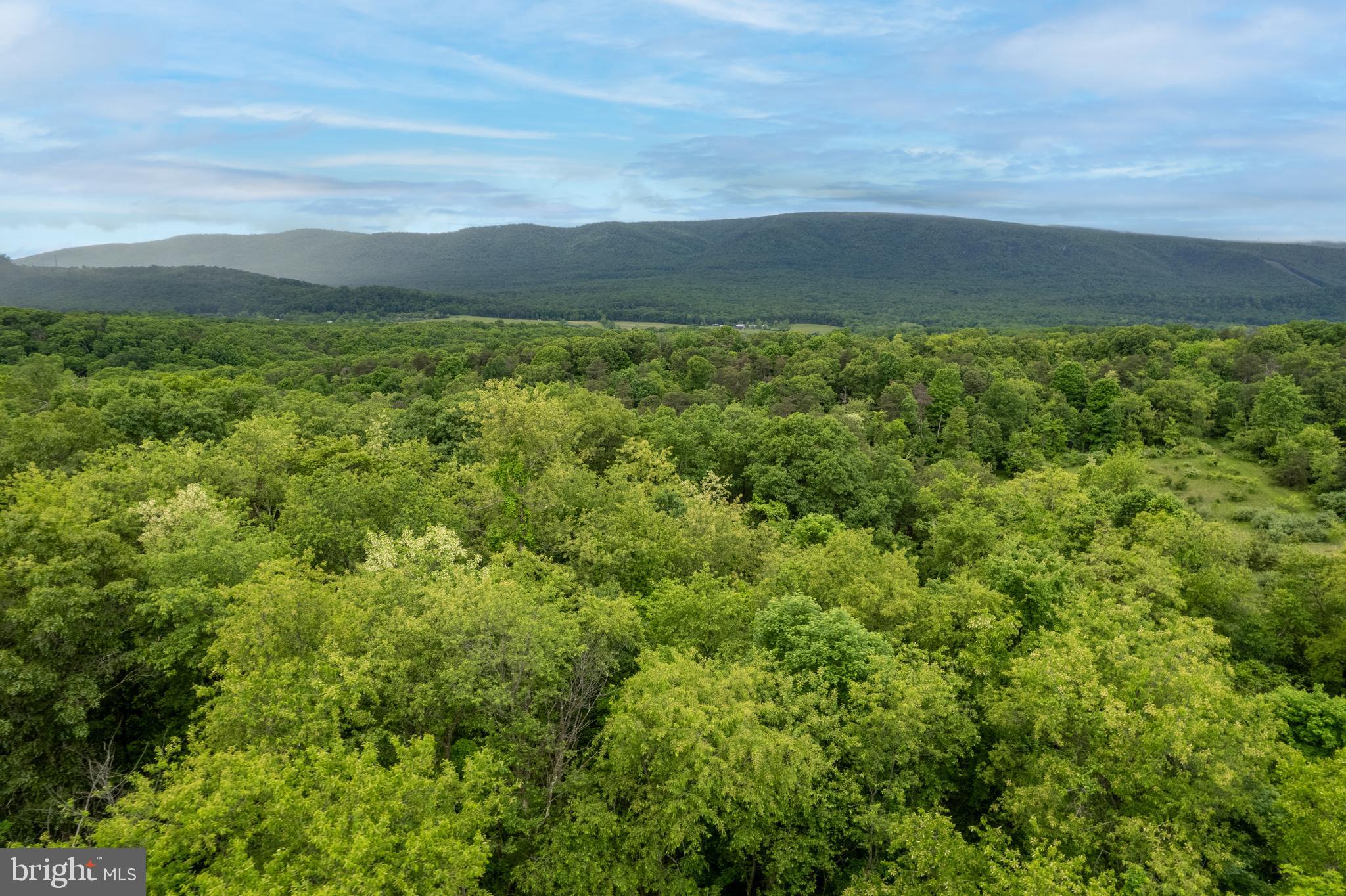 Lot 2 North Timber Ridge Road Cross Junction, VA 22625 - Photo 6 of 30