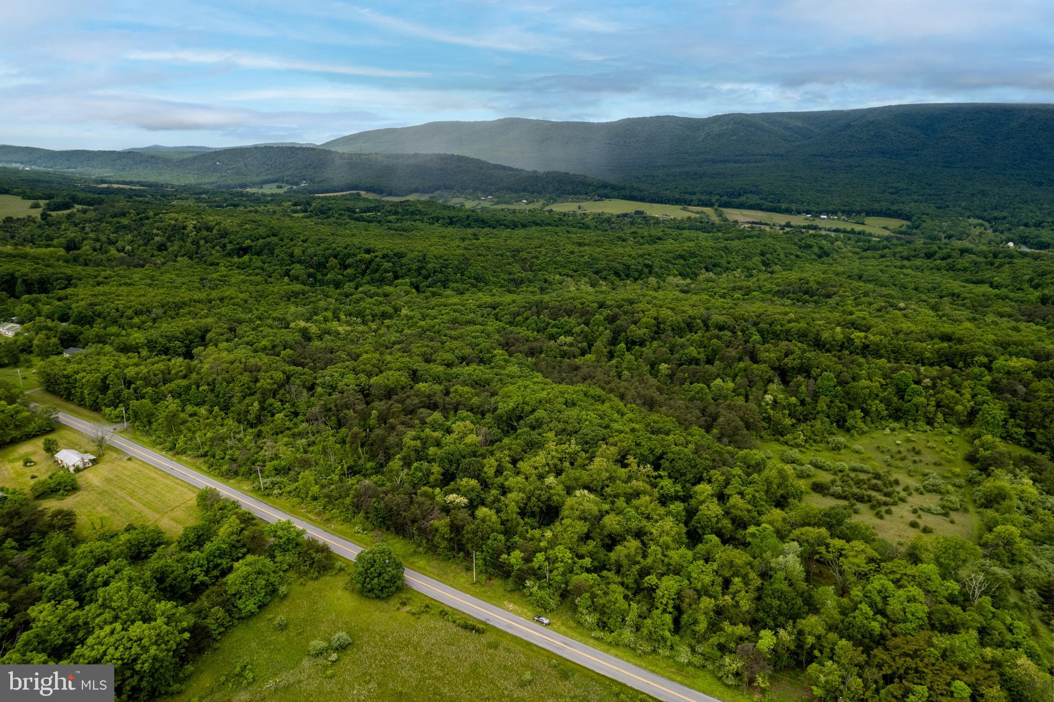 Lot 2 North Timber Ridge Road Cross Junction, VA 22625 - Photo 9 of 30