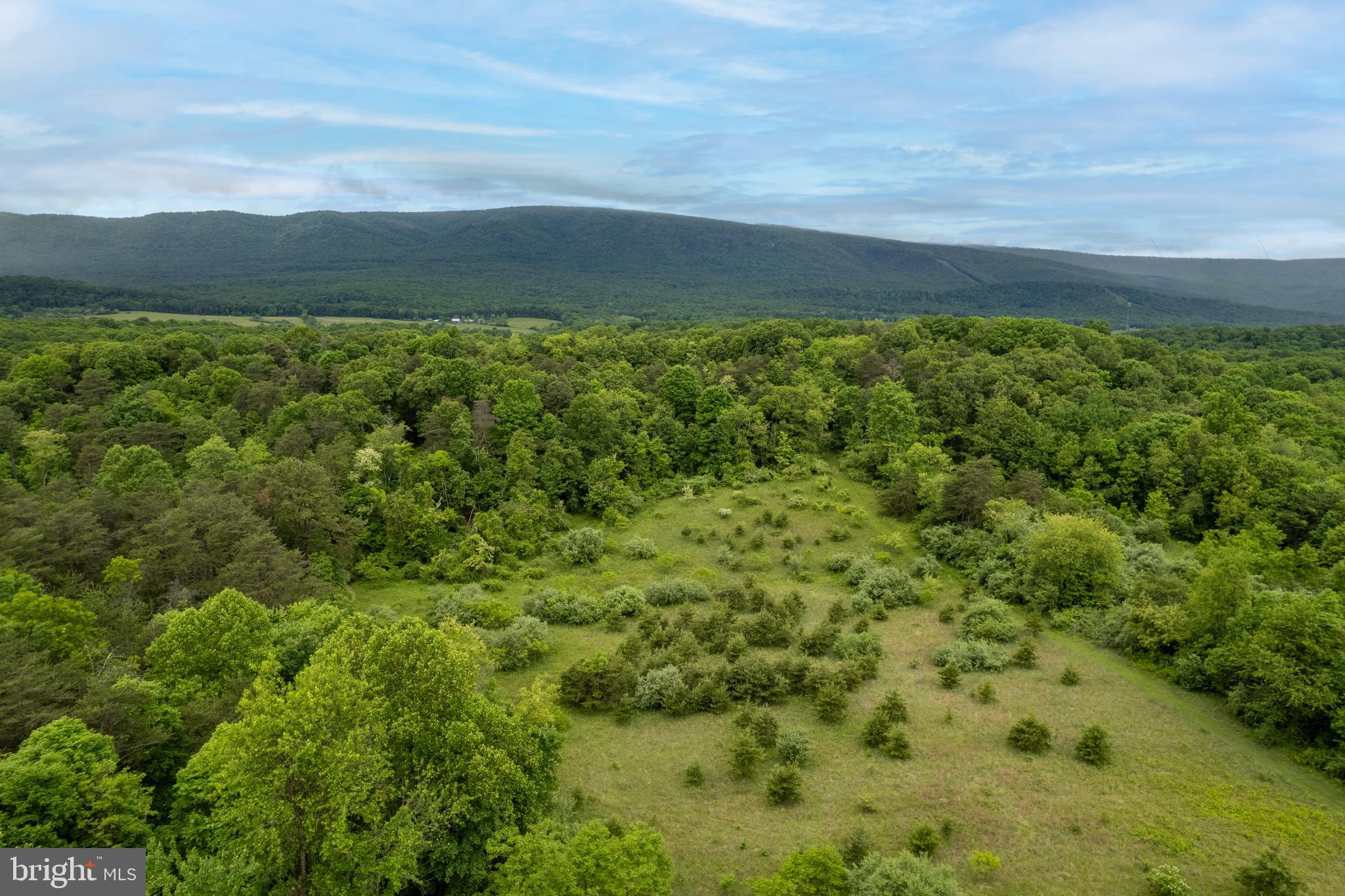 Lot 2 North Timber Ridge Road Cross Junction, VA 22625 - Photo 10 of 30