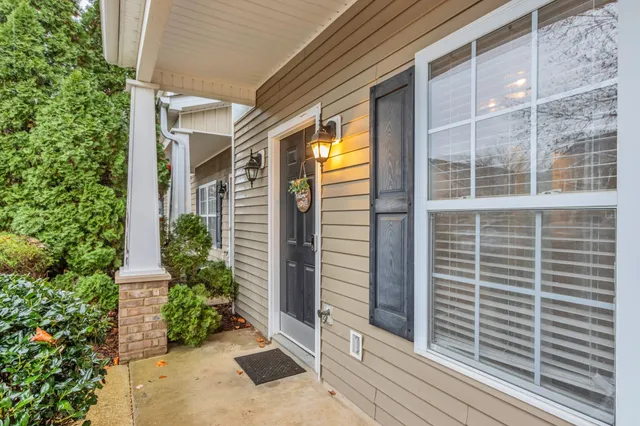 a view of a door with a potted plant and a large window