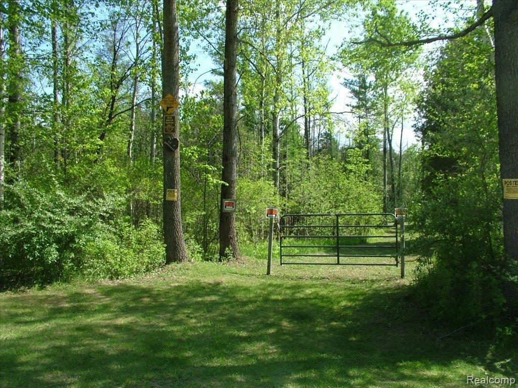 5950 Hasslick Road North Branch, MI 48461 - Photo 1 of 9 DSCF4461
