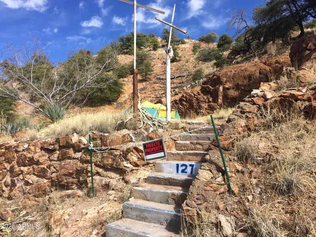 a view of a yard with a tree