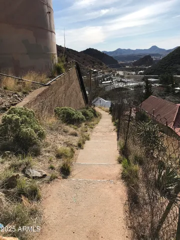 a view of a tree of a yard
