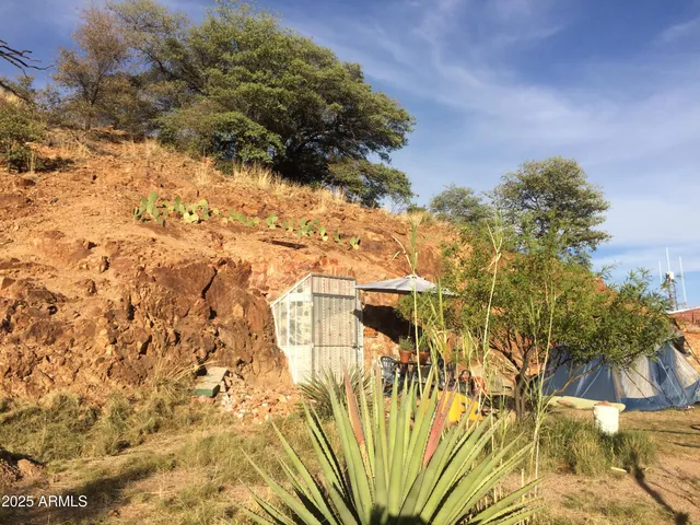 a view of a tree in a yard