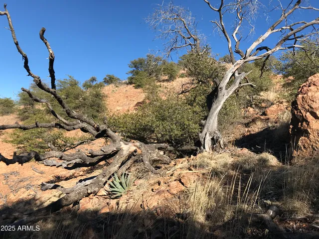 a view of a yard with a mountain