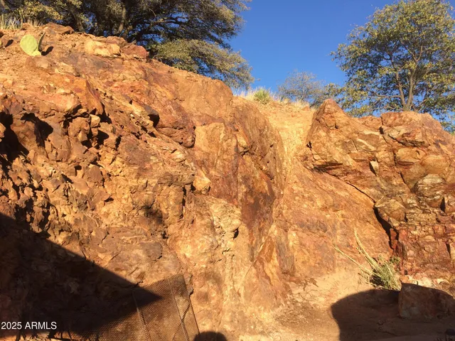 a view of a yard with trees in the background