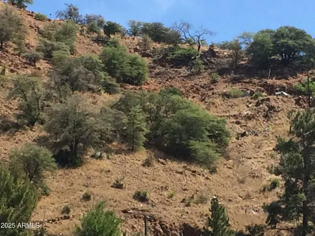a view of a yard covered with snow