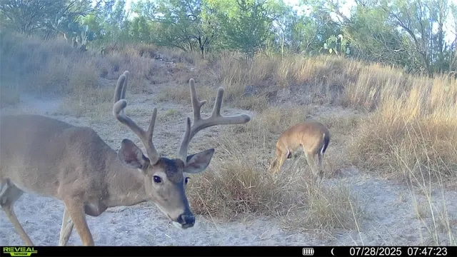 a view of a wooden floor and a lake view