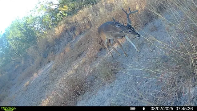 a view of an outdoor space