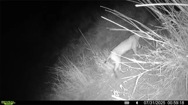 a view of a lake with top of green space