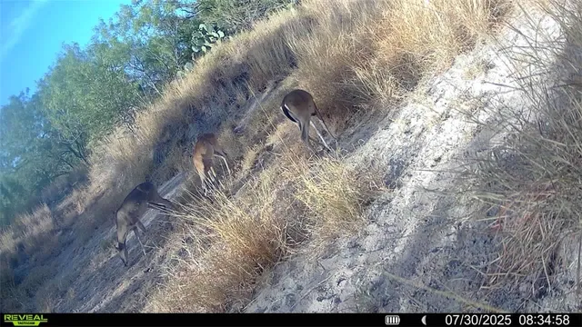 a view of a room with a wooden floor