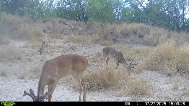 a view of a outdoor space