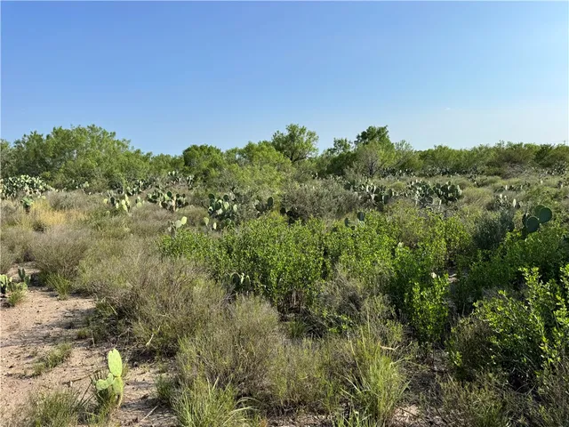 $399,900 | 0 Cameron Lane- 80 Acres, Fowlerton, TX 78021