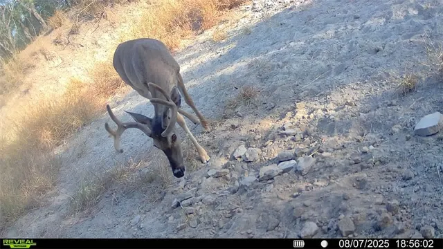 a view of a couches with sky view