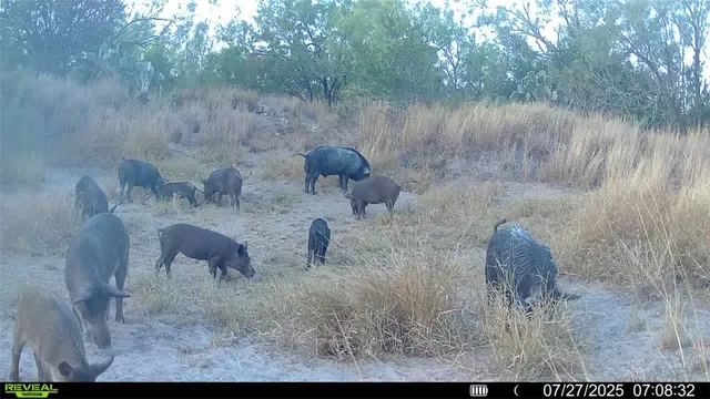a backyard of a house with yard and lake view