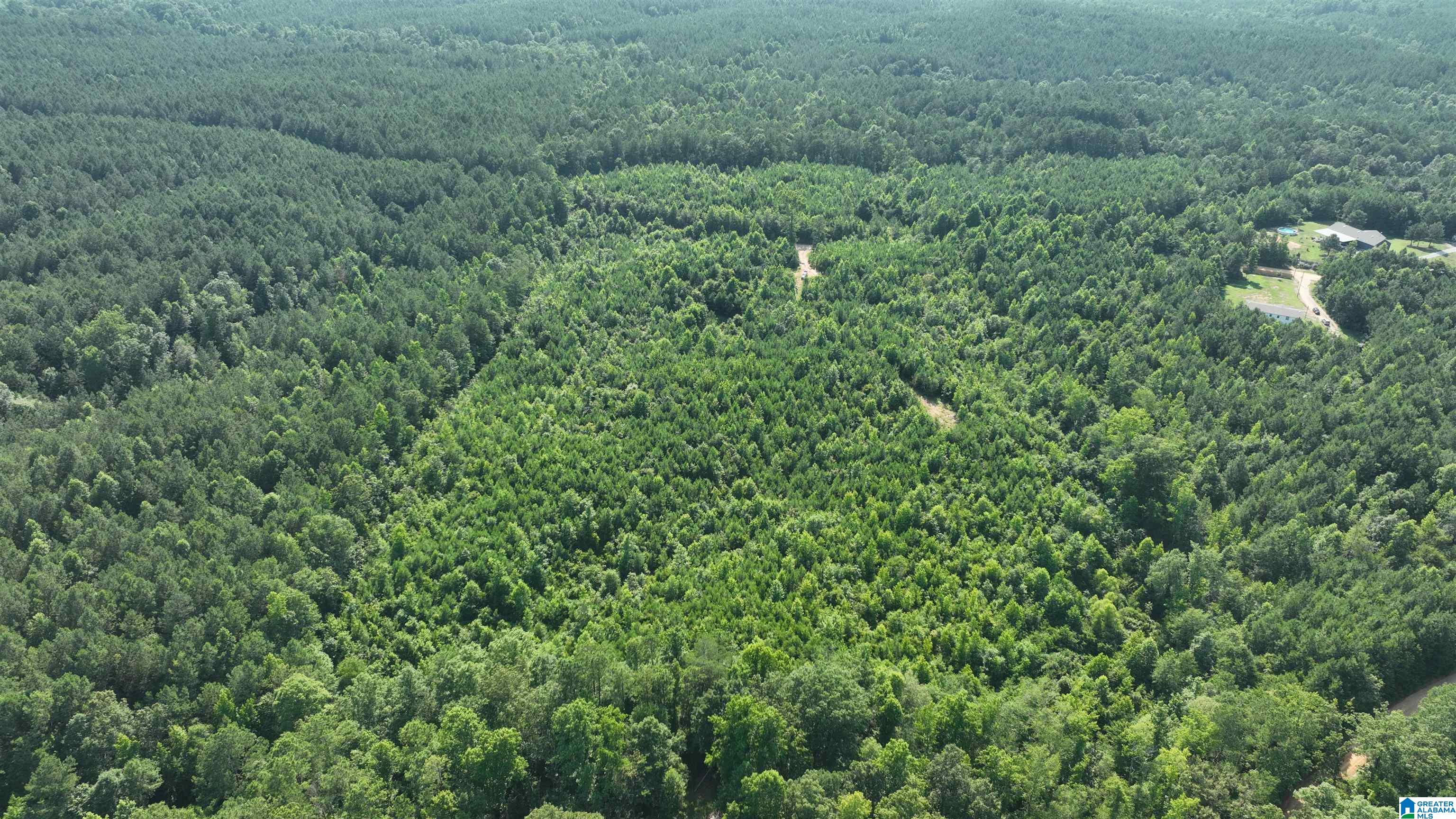 2 County Road 253, Unit 2 Clanton, AL 35046 - Photo 22 of 40