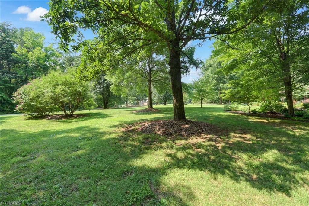 6902 High Rock Road Browns Summit, NC 27214 - Photo 4 of 42 Gallery Image 4