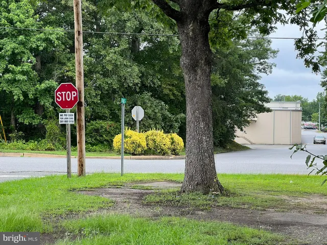 a view of a park with entertaining space