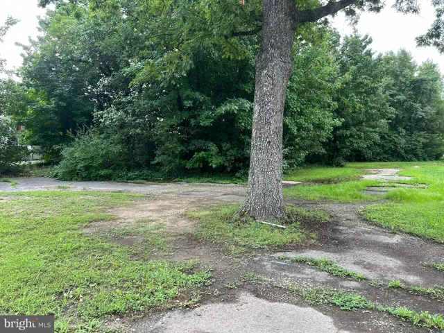 a view of a field with a tree in the background