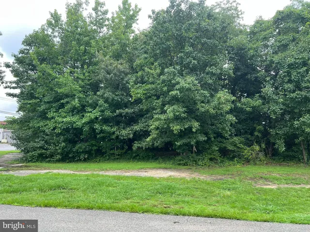 a view of a backyard with a garden