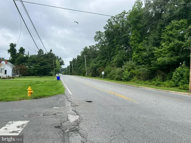 a view of a yard with potted plants