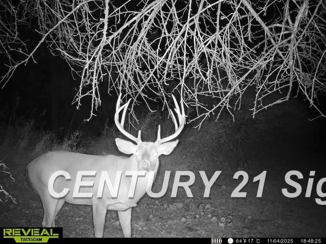 North Juddville Road Corunna, MI 48817 - Photo 36 of 37 Gallery Image 36