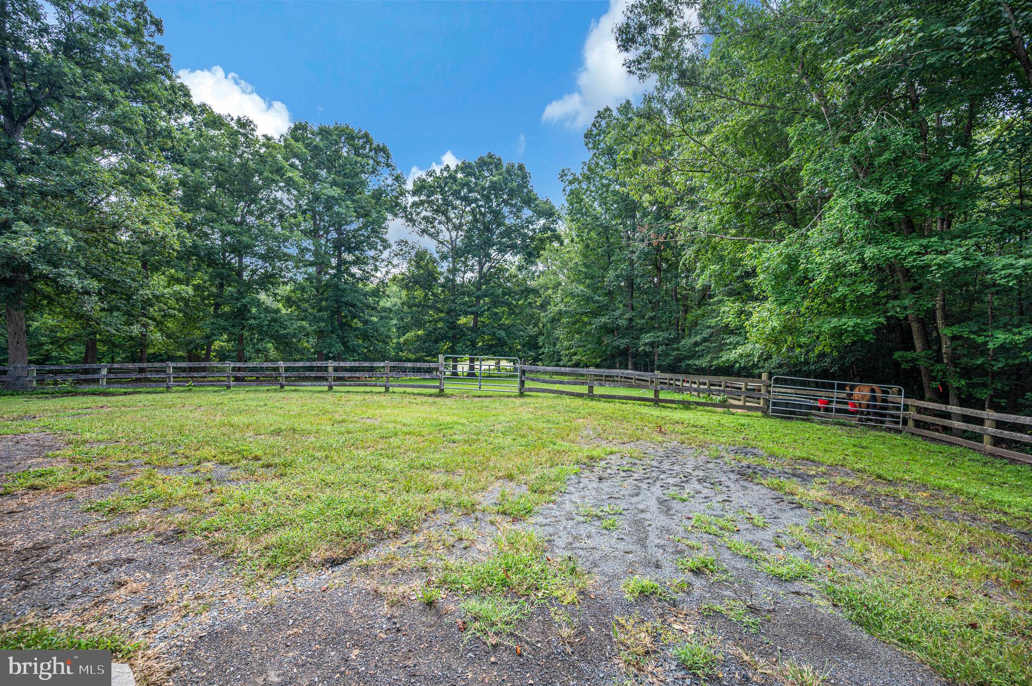 5099 Courtneys Corner Road Sumerduck, VA 22742 - Photo 51 of 69 Gallery Image 51