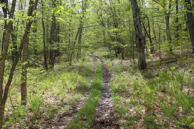 $549,000 | 0 Long Hill Road, South Woodstock, VT 05071