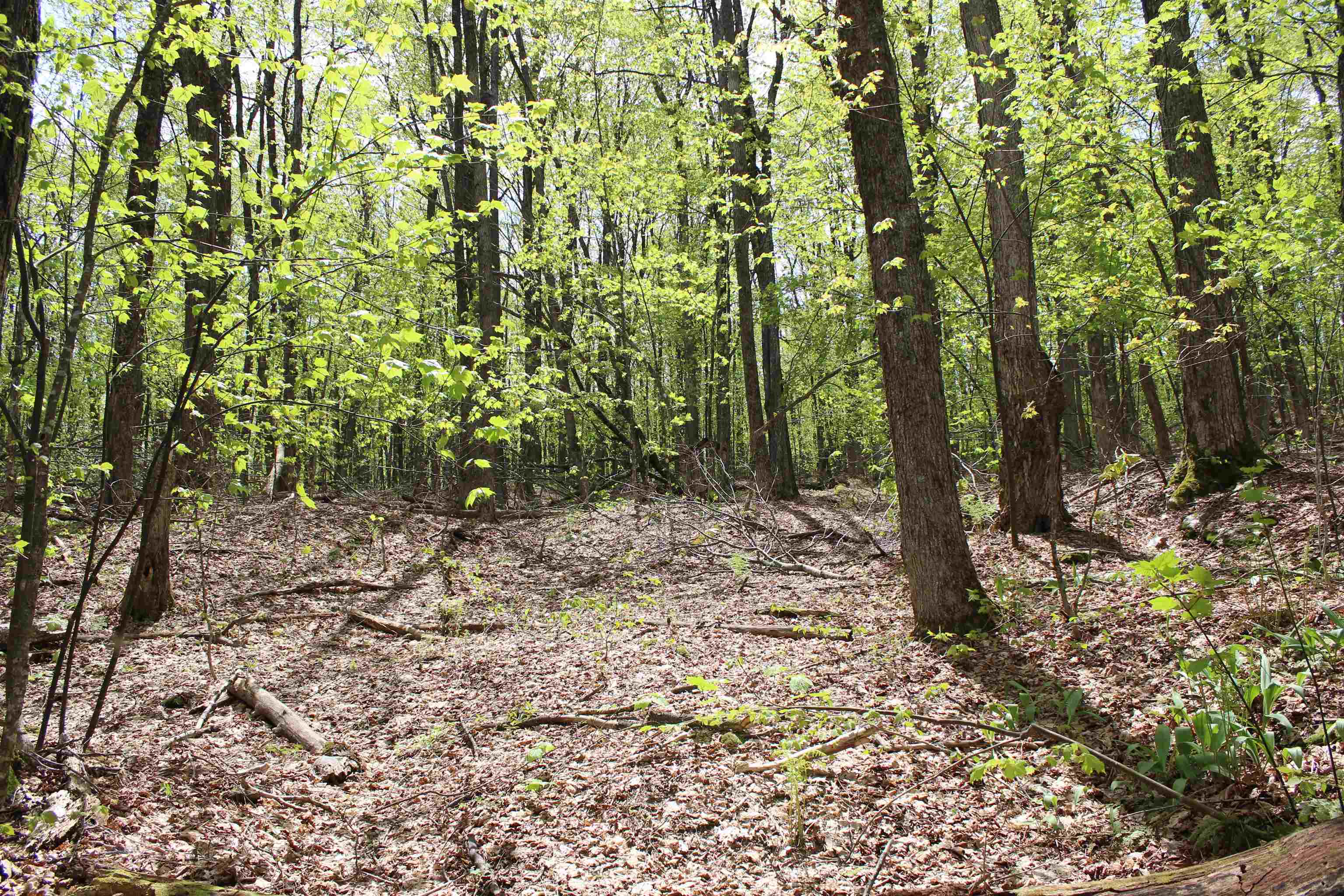 0 Long Hill Road South Woodstock, VT 05071 - Photo 11 of 58