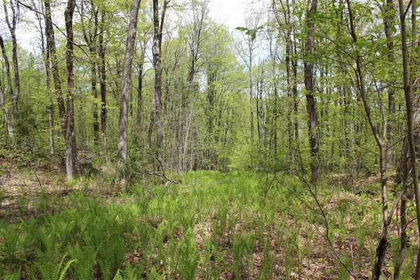 $549,000 | 0 Long Hill Road, South Woodstock, VT 05071