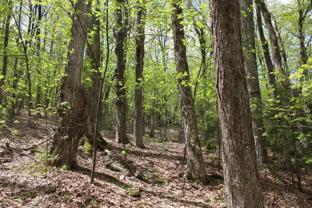 $549,000 | 0 Long Hill Road, South Woodstock, VT 05071